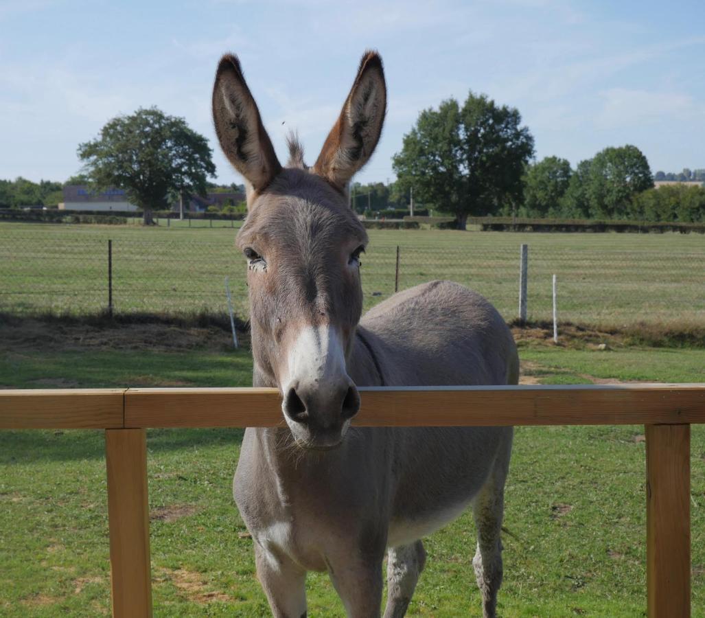 Le Petit Gite O Pré Beaubec-la-Rosiere Esterno foto
