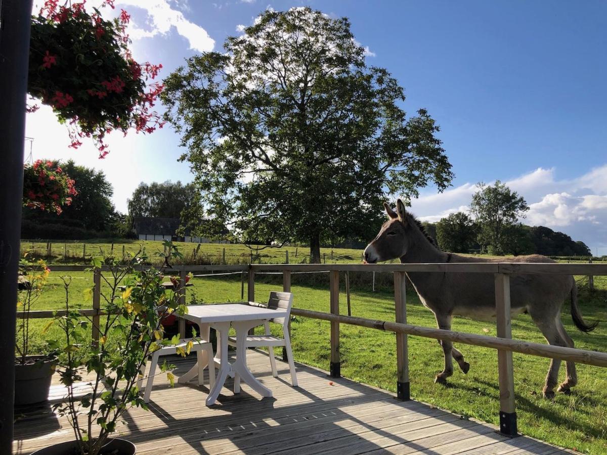 Le Petit Gite O Pré Beaubec-la-Rosiere Esterno foto